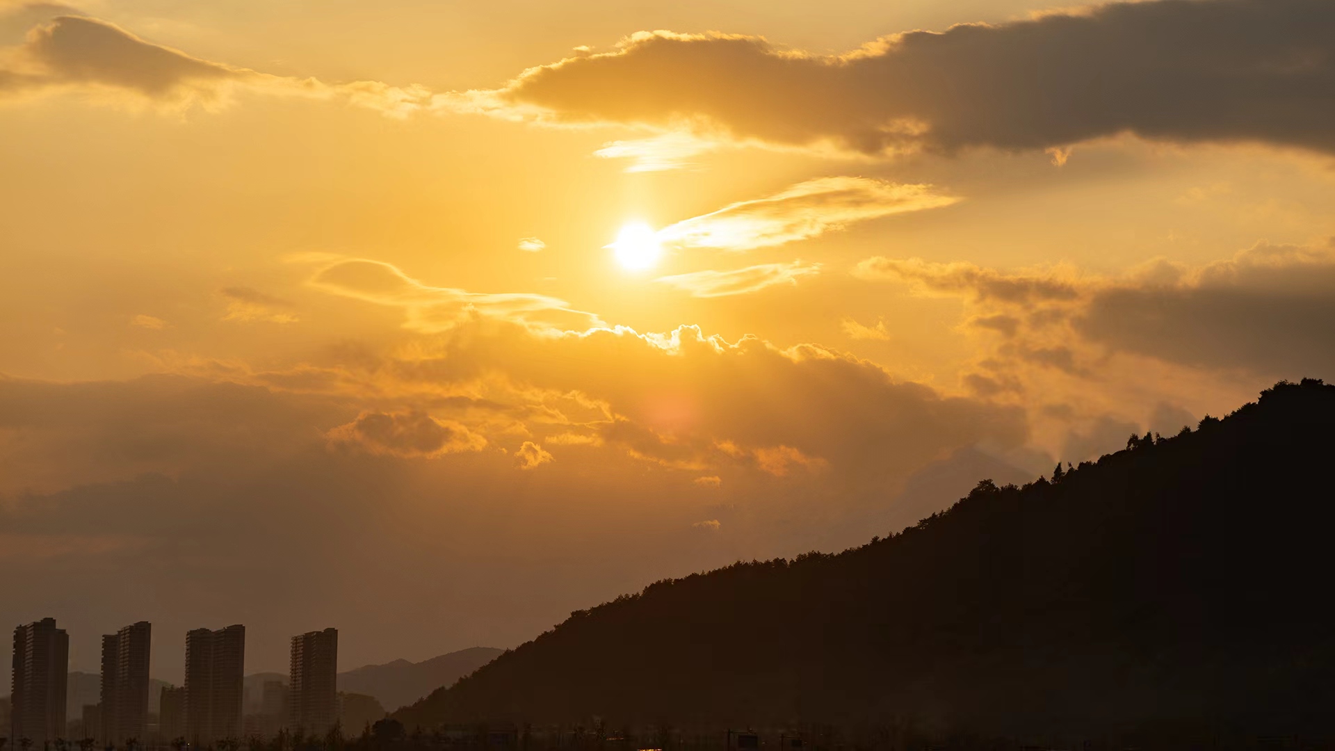 G青山湖水上森林日常记录20231104