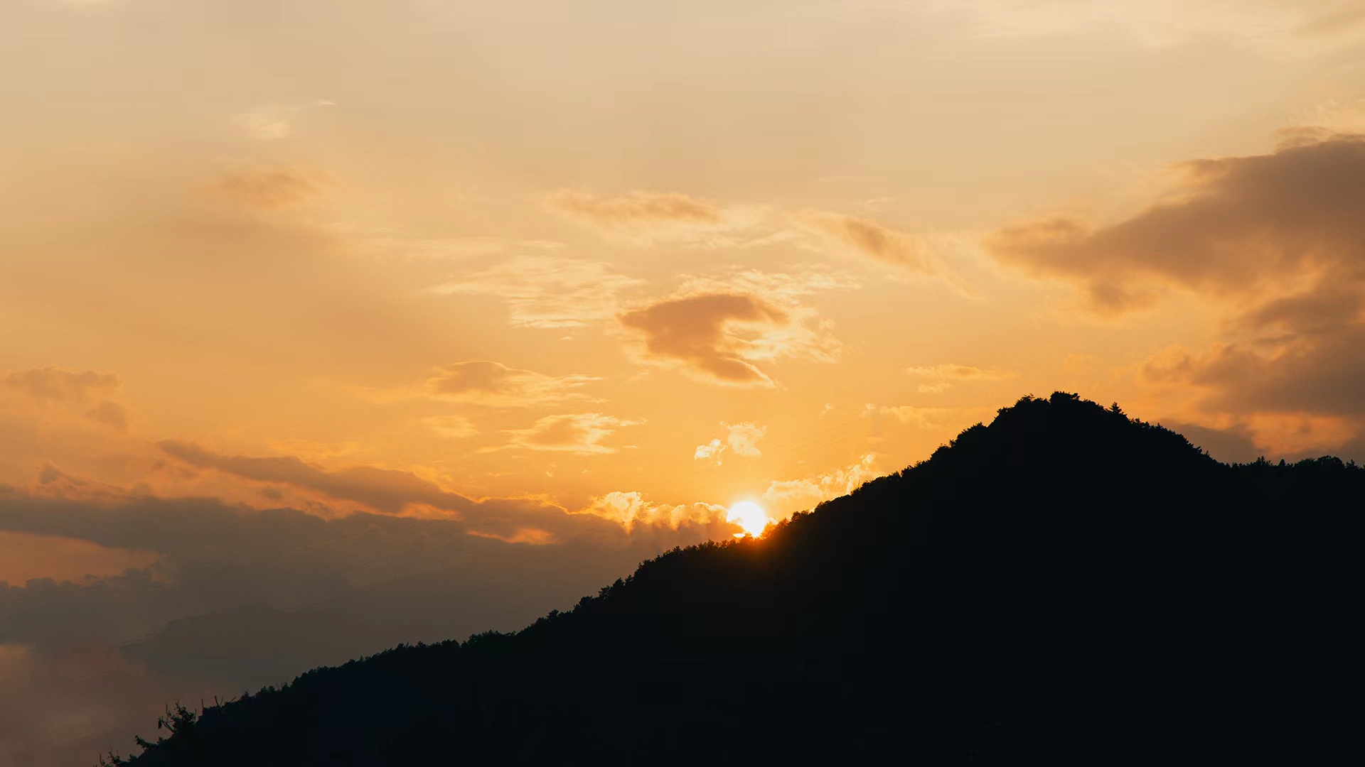 G青山湖水上森林日常记录20231104